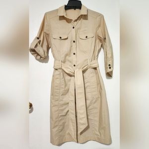 Zara Basic Khaki Dress